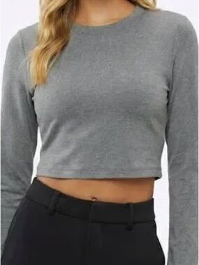 Gray Long Sleeve Cropped Crewneck Top